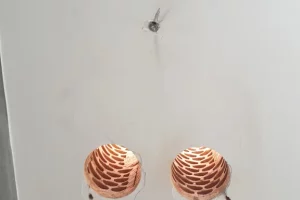 20210128_111153 20210128_111153